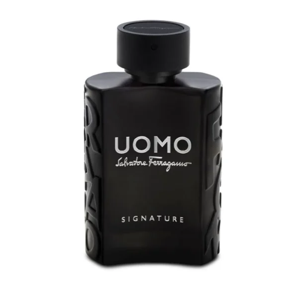 Tester Uomo Signature De Salvatore Ferragamo Para Hombre de 100 ml